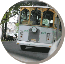 Match Wedding Day Service